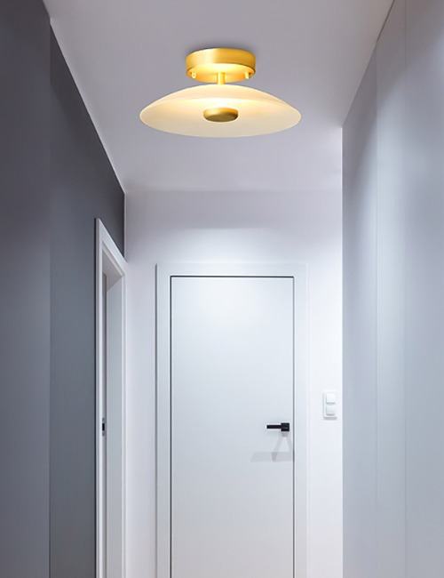 라오루 LED 직부/벽등 겸용 10W 현관조명 실내벽등 